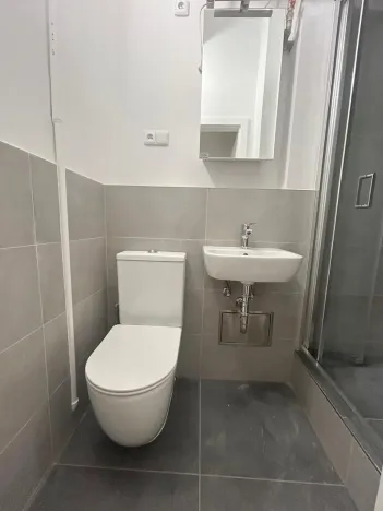 Pronájem bytu 1+kk, Praha - Vinohrady, Soběslavská, 30 m2