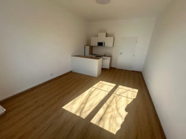 Pronájem bytu 1+kk, Praha - Vinohrady, Soběslavská, 28 m2