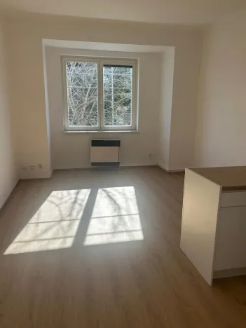 Pronájem bytu 1+kk, Praha - Vinohrady, Soběslavská, 28 m2