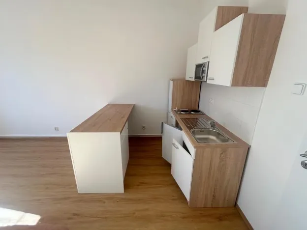 Pronájem bytu 1+kk, Praha - Vinohrady, Soběslavská, 28 m2