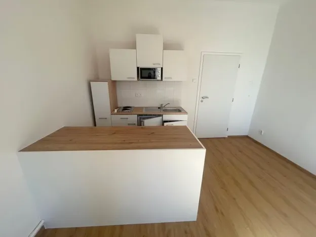 Pronájem bytu 1+kk, Praha - Vinohrady, Soběslavská, 28 m2