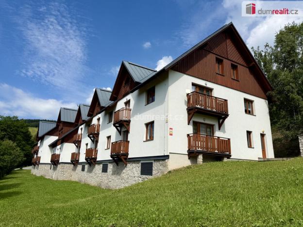 Pronájem bytu 3+kk, Vítkovice, 74 m2