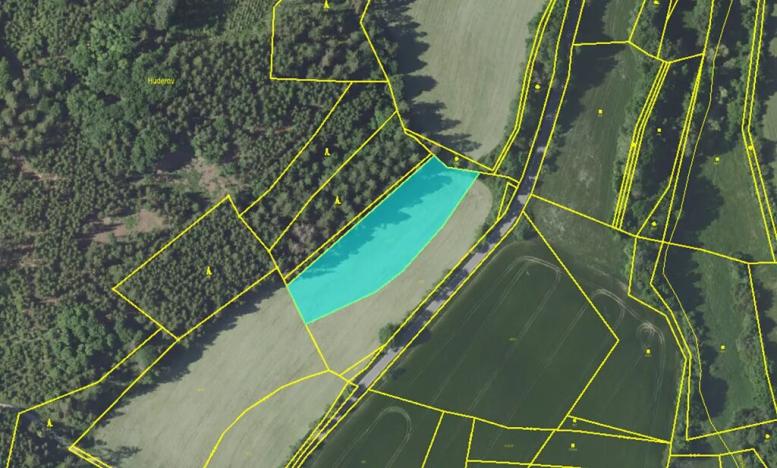 Prodej pole, Jankov, 4822 m2