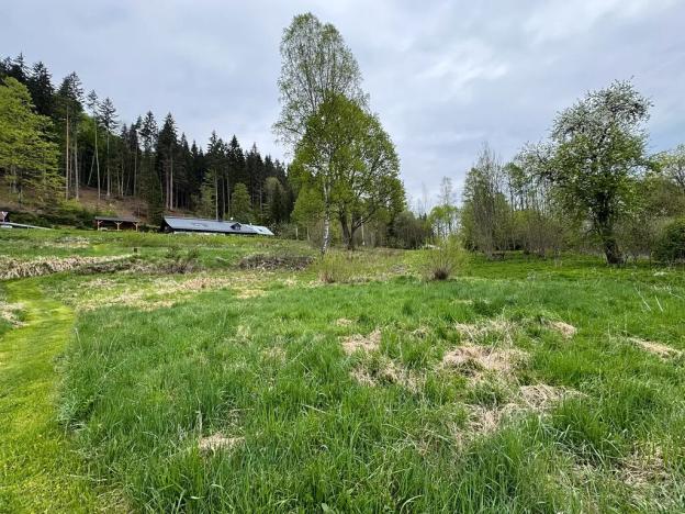 Prodej komerčního pozemku, Horní Vltavice, 14058 m2