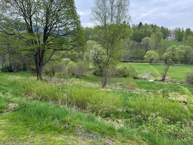 Prodej komerčního pozemku, Horní Vltavice, 14058 m2