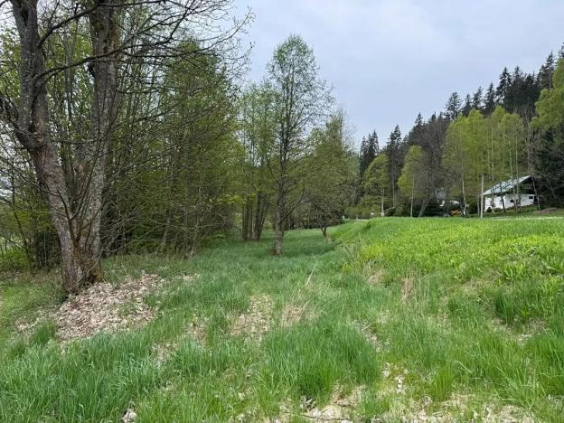 Prodej komerčního pozemku, Horní Vltavice, 14058 m2