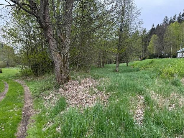 Prodej pozemku pro bydlení, Horní Vltavice, 7500 m2