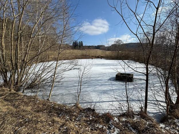 Prodej chalupy, Zdíkov, 120 m2