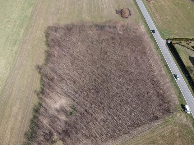 Prodej komerčního pozemku, Čkyně, 10200 m2