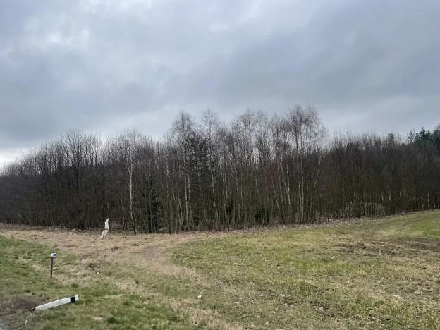 Prodej komerčního pozemku, Čkyně, 10200 m2