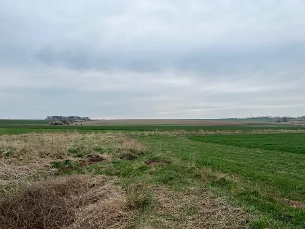 Prodej pozemku pro bydlení, Nýřany, 1000 m2