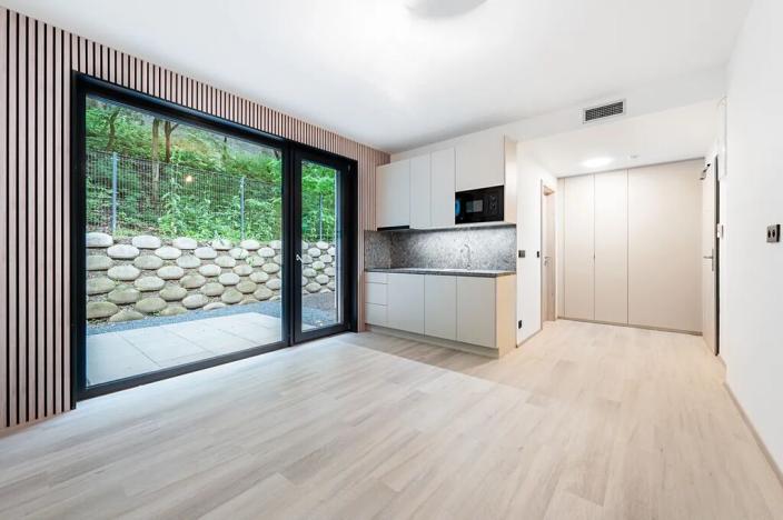 Pronájem bytu 1+kk, Praha, Na Zlíchově, 26 m2