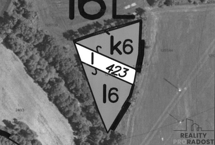 Prodej lesa, Lázně Bohdaneč, 7167 m2