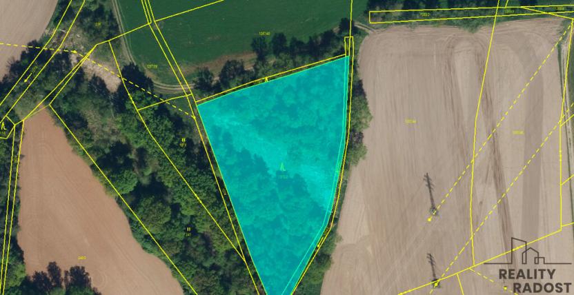 Prodej lesa, Lázně Bohdaneč, 7167 m2