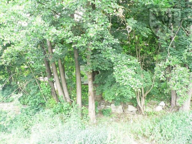 Prodej rodinného domu, Bezdědovice, 170 m2