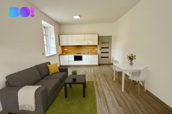 Pronájem bytu 1+kk, Český Těšín, Pod Zvonek, 30 m2