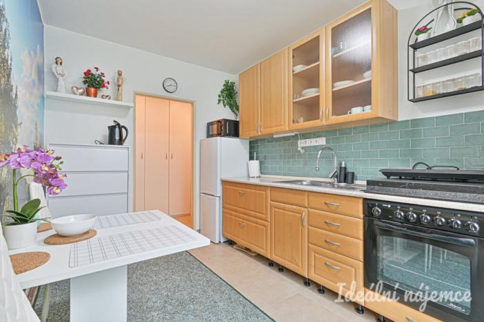 Pronájem bytu 1+1, Koryčany, Zámecká, 50 m2