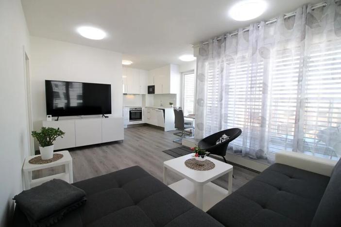 Pronájem bytu 1+kk, Brno, Firkušného, 44 m2