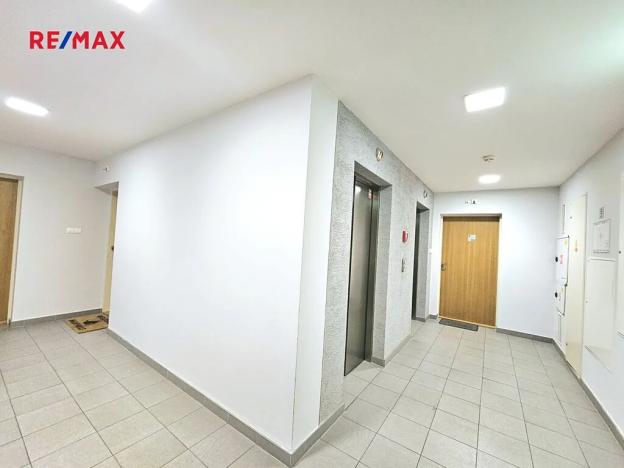 Pronájem bytu 1+kk, Praha - Žižkov, Ke kapslovně, 48 m2