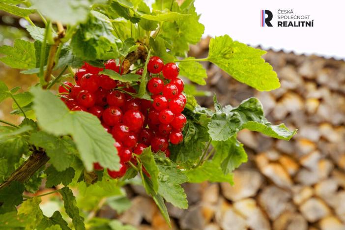 Prodej rodinného domu, Podbořany, Švermova, 157 m2