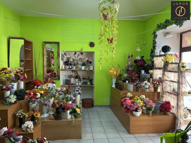 Prodej rodinného domu, Slaný, Palackého, 633 m2