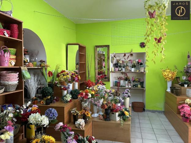 Prodej rodinného domu, Slaný, Palackého, 633 m2