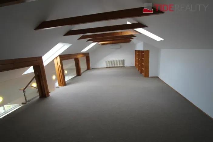 Pronájem bytu 6+kk a větší, Praha - Braník, Psohlavců, 290 m2