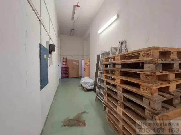 Pronájem skladu, Krnov - Pod Bezručovým vrchem, Albrechtická, 100 m2
