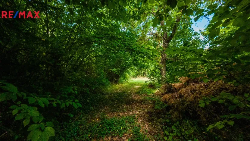 Prodej pozemku pro bydlení, Petrov - Chlomek, Zalomená, 1500 m2