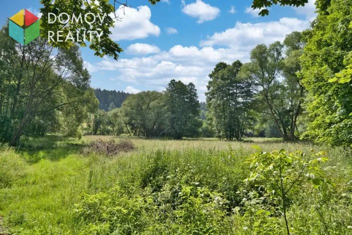 Prodej komerčního pozemku, Jivina, 7287 m2