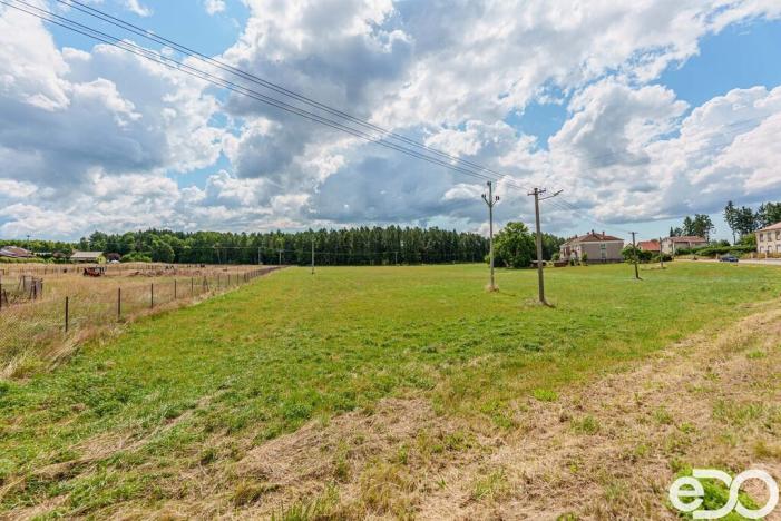 Prodej pozemku pro bydlení, Vítězná - Kocléřov, 13646 m2