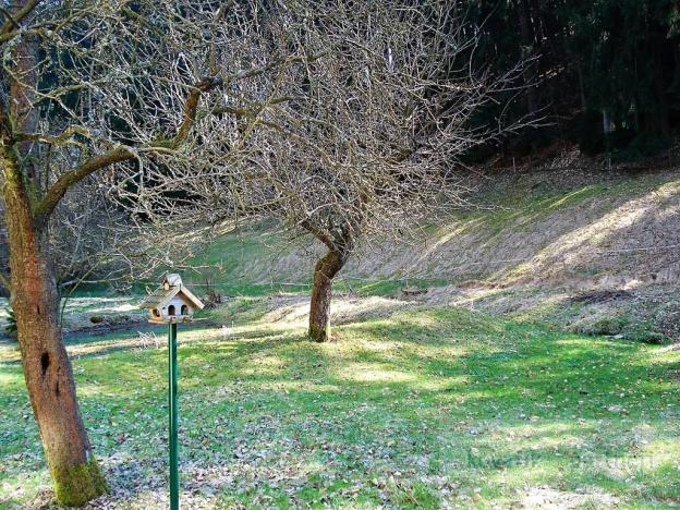 Prodej chalupy, Krásná Lípa, 180 m2