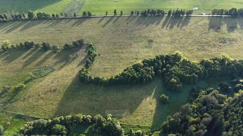 Prodej louky, Rožmitál na Šumavě, 52665 m2