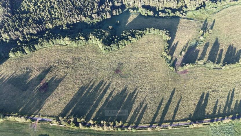 Prodej louky, Rožmitál na Šumavě, 52665 m2