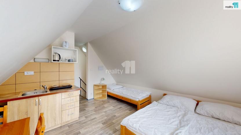 Prodej ubytování, Loučná pod Klínovcem - Loučná, 370 m2