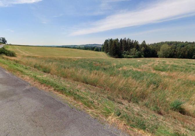 Prodej louky, Sázava - Bělokozly, 394 m2