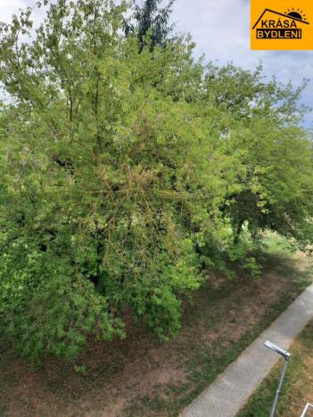 Prodej bytu 3+1, Lutín, 70 m2