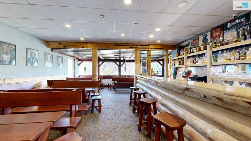 Prodej ubytování, Loučná pod Klínovcem - Loučná, 229 m2