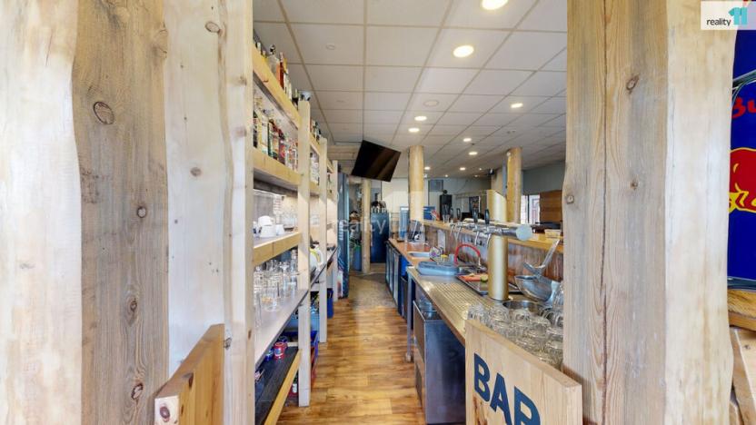 Prodej ubytování, Loučná pod Klínovcem - Loučná, 229 m2