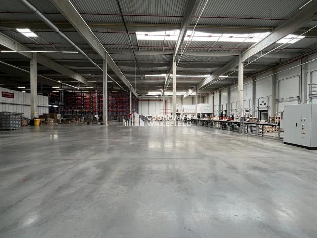 Prodej skladu, Nová Paka, 9000 m2