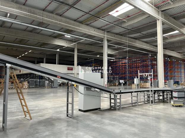 Prodej skladu, Nová Paka, 9000 m2