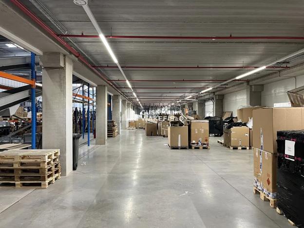 Prodej skladu, Nová Paka, 9000 m2