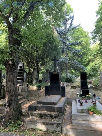 Prodej - jiné, Praha, Vinohradská, 5 m2