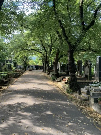 Prodej - jiné, Praha, Vinohradská, 5 m2