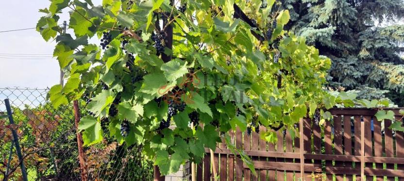 Prodej pozemku pro bydlení, Újezdec, 104 m2