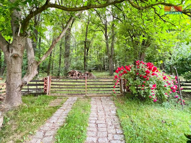 Prodej rodinného domu, Sušice - Volšovy, 245 m2