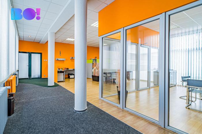 Prodej skladu, Ostrava - Hošťálkovice, Aleje, 767 m2