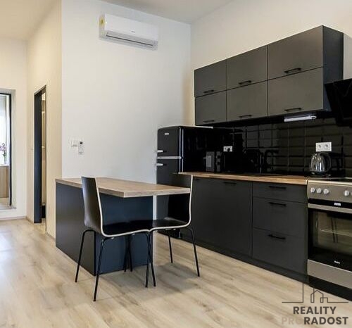 Pronájem bytu 2+kk, Brno, Václavská, 60 m2