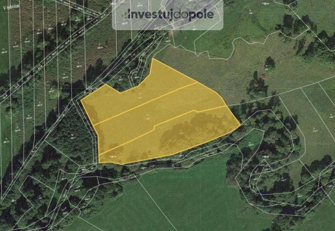 Prodej louky, Janovice nad Úhlavou - Petrovice nad Úhlavou, 16774 m2