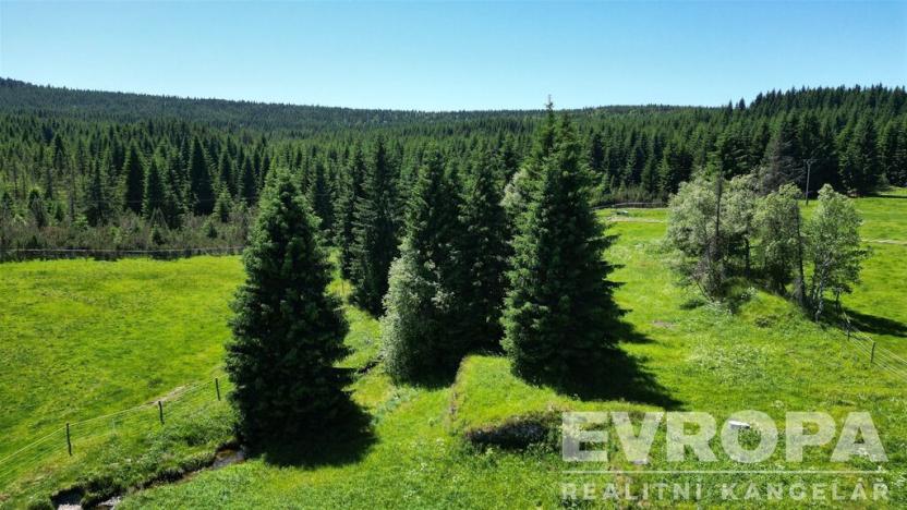 Prodej pozemku, Kořenov, 1315 m2